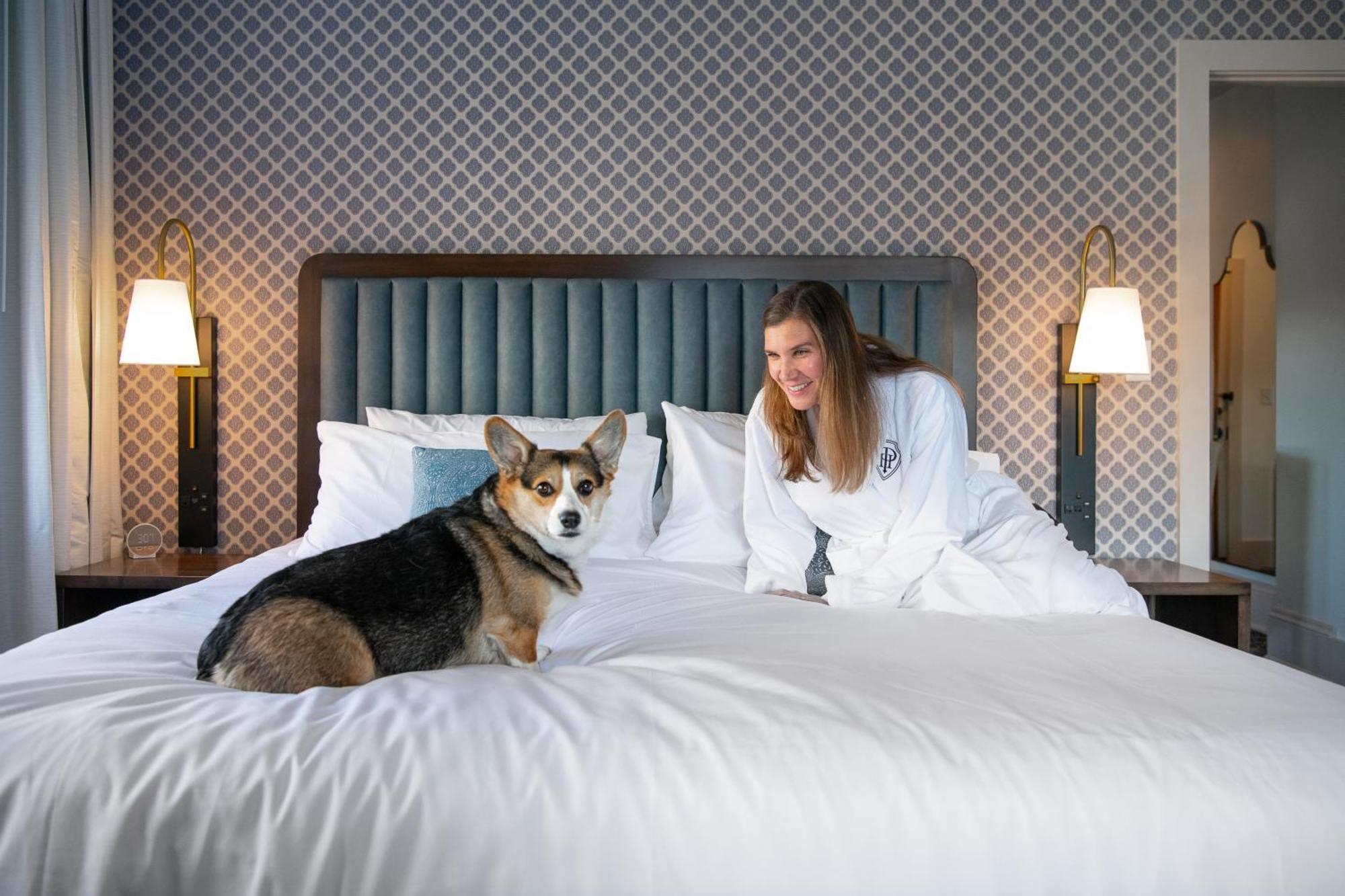 Hotel Petersburg, Tapestry Collection By Hilton Exterior foto